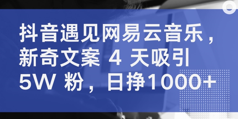 抖音遇见网易云音乐，新奇文案 4 天吸引 5W 粉，日挣1000+【揭秘】-无痕资源库