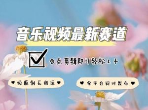 音乐视频赛道最新玩法，纯原创不违规，可所有平台同时发布，会点剪辑即可轻松拿捏【揭秘】-无痕资源库