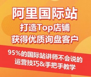 【阿里国际站】打造Top店铺&获得优质询盘客户,95%的国际站讲师不会说的运营技巧-无痕资源库