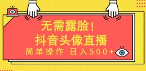 无需露脸，Ai头像直播项目，简单操作日入500+【揭秘】-无痕资源库