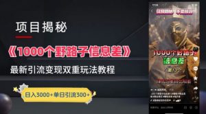 一千个野路子信息差最新玩法教程-变现+引流的玩法具体拆解【揭秘】-无痕资源库