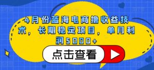 4月份蓝海电商撸收益技术，长期稳定项目，单月利润5000+【揭秘】-无痕资源库