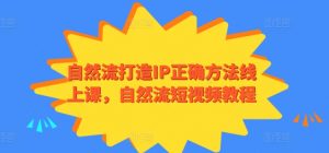 自然流打造IP正确方法线上课，自然流短视频教程-无痕资源库