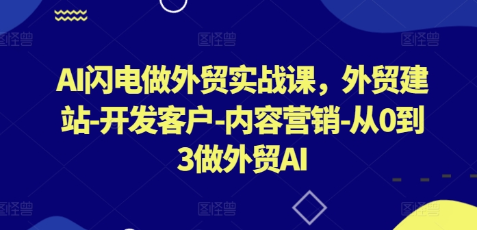 AI闪电做外贸实战课，​外贸建站-开发客户-内容营销-从0到3做外贸AI-无痕资源库