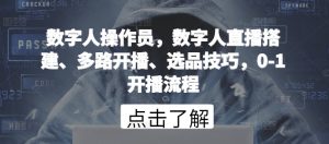 数字人操作员，数字人直播搭建、多路开播、选品技巧，0-1开播流程-无痕资源库