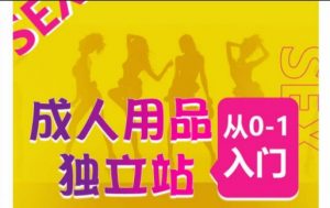 成人用品独立站从0-1入门，成品独立站运营全流程教学，七大好卖成品独立站推荐-无痕资源库