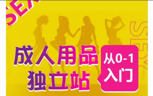 成人用品独立站从0-1入门，成品独立站运营全流程教学，七大好卖成品独立站推荐-无痕资源库