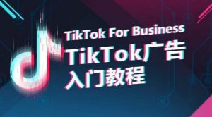 TikTok广告入门教程，从0到1掌握TikTok投放的全流程-无痕资源库