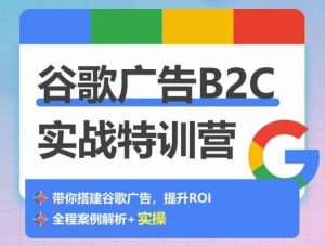 谷歌广告B2C实战特训营，500+谷歌账户总结经验，实战演示如何从0-1搭建广告账户-无痕资源库