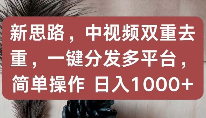 新思路，中视频双重去重，一键分发多平台，简单操作，日入1000+【揭秘】-无痕资源库