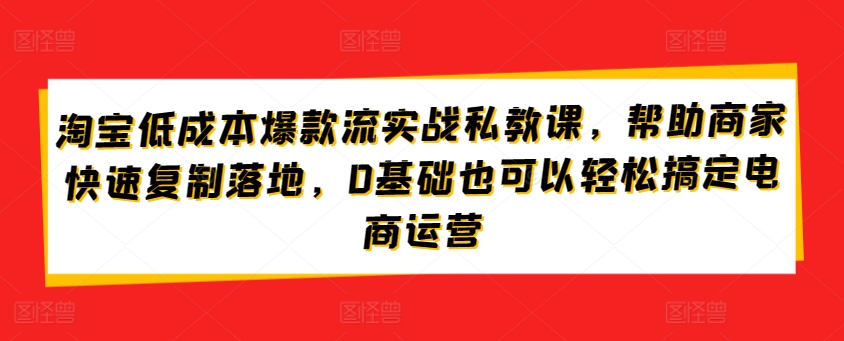 淘宝低成本爆款流实战私教课，帮助商家快速复制落地，0基础也可以轻松搞定电商运营-无痕资源库