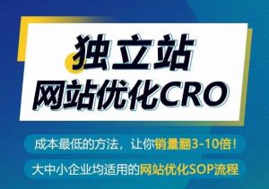 独立站网站优化CRO，成本最低的方法，让你销量翻3-10倍-无痕资源库