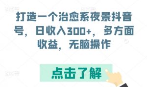 打造一个治愈系夜景抖音号，日收入300+，多方面收益，无脑操作【揭秘】-无痕资源库