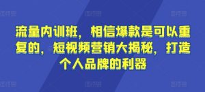 流量内训班，相信爆款是可以重复的，短视频营销大揭秘，打造个人品牌的利器-无痕资源库