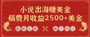 小说出海赚美金，稿费月收益2500+美金，仅需chatgpt粘贴复制，新手也能玩转【揭秘】-无痕资源库