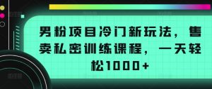 男粉项目冷门新玩法，售卖私密训练课程，一天轻松1000+【揭秘】-无痕资源库