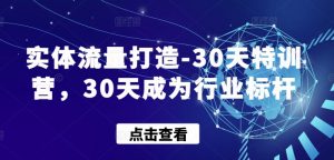 实体流量打造-30天特训营，30天成为行业标杆-无痕资源库