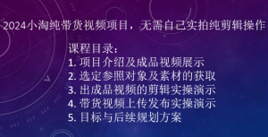 2024小淘纯带货视频项目，无需自己实拍纯剪辑操作-无痕资源库