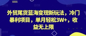 外贸尾货蓝海变现新玩法，冷门暴利项目，单月轻松3W+，收益无上限【揭秘】-无痕资源库
