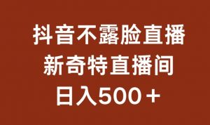 不露脸挂机直播，新奇特直播间，日入500+【揭秘】-无痕资源库