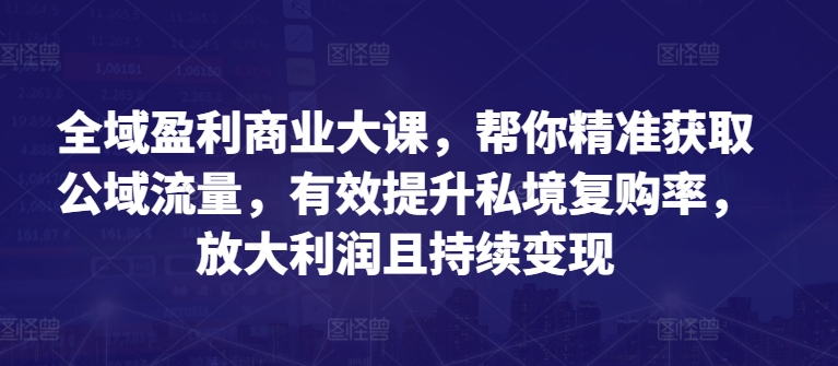 全域盈利商业大课,帮你精准获取公域流量,有效提升私境复购率,放大利润且持续变现-无痕资源库