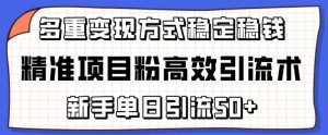 精准项目粉高效引流术，新手单日引流50+，多重变现方式稳定赚钱【揭秘】-无痕资源库