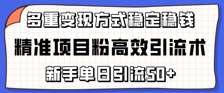 精准项目粉高效引流术，新手单日引流50+，多重变现方式稳定赚钱【揭秘】-无痕资源库