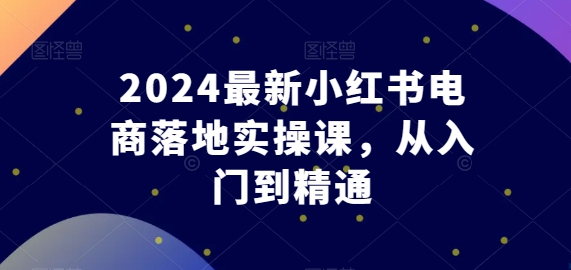 2024最新小红书电商落地实操课，从入门到精通-无痕资源库