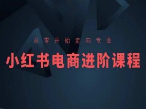 从零开始走向专业，小红书电商进阶课程-无痕资源库