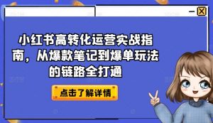 小红书高转化运营实战指南，从爆款笔记到爆单玩法的链路全打通-无痕资源库