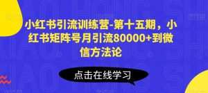 小红书引流训练营-第十五期，小红书矩阵号月引流80000+到微信方法论-无痕资源库