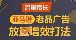 亚马逊流量增长-老品广告放量增效打法，循序渐进，打造更多TOP listing​-无痕资源库
