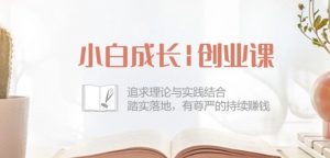 小白成长创业课：追求理论与实践结合，踏实落地，有尊严的持续赚钱-42节-无痕资源库