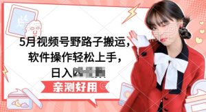 5月视频号野路子搬运，软件操作轻松上手，日入三位数【揭秘】-无痕资源库