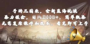 手游三国杀最新蓝海玩法,简单粗暴,无需复杂的操作和技术,看完即可上手【揭秘】-无痕资源库