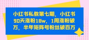 小红书私教第七期，小红书90天涨粉18w，1周涨粉破万，半年矩阵号粉丝破百万-无痕资源库