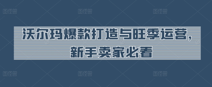 沃尔玛爆款打造与旺季运营，新手卖家必看-无痕资源库