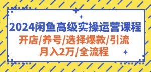 2024闲鱼高级实操运营课程：开店/养号/选择爆款/引流/月入2万/全流程-无痕资源库