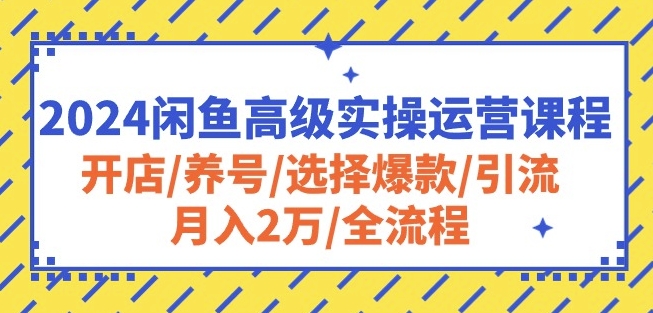 2024闲鱼高级实操运营课程：开店/养号/选择爆款/引流/月入2万/全流程-无痕资源库