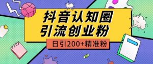 外面收费3980抖音认知圈引流创业粉玩法日引200+精准粉【揭秘】-无痕资源库