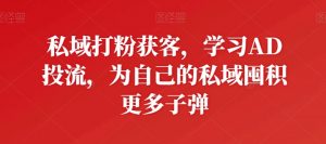 私域打粉获客，学习AD投流，为自己的私域囤积更多子弹-无痕资源库