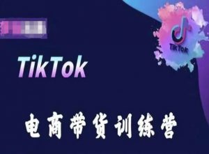TikTok电商带货训练营，跟随时代潮流，跨境掘金-无痕资源库