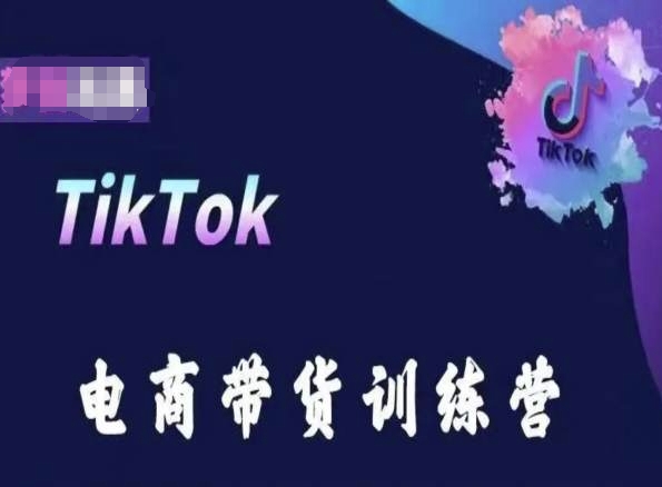 TikTok电商带货训练营，跟随时代潮流，跨境掘金-无痕资源库