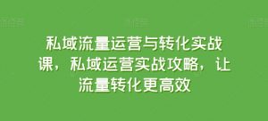 私域流量运营与转化实战课，私域运营实战攻略，让流量转化更高效-无痕资源库
