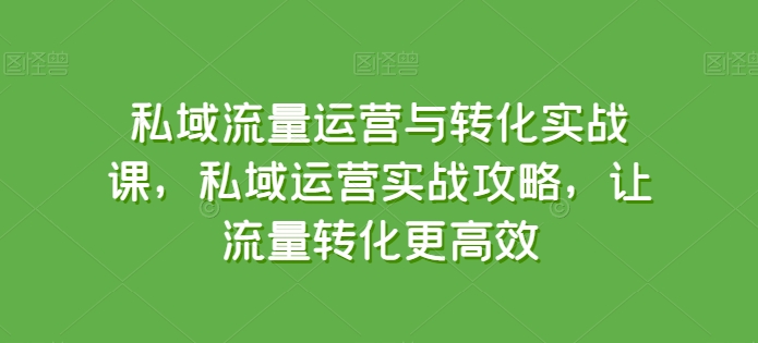 私域流量运营与转化实战课，私域运营实战攻略，让流量转化更高效-无痕资源库