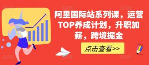 阿里国际站系列课,运营TOP养成计划,升职加薪,跨境掘金-无痕资源库