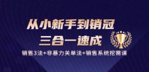 从小新手到销冠 三合一速成：销售3法+非暴力关单法+销售系统挖需课 (27节)-无痕资源库