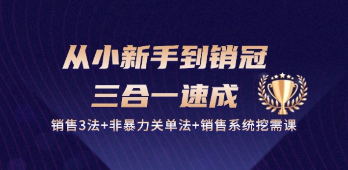 从小新手到销冠 三合一速成:销售3法+非暴力关单法+销售系统挖需课 (27节)-无痕资源库