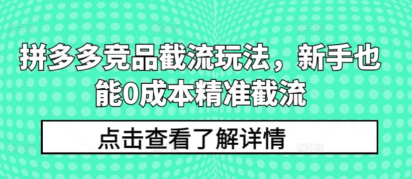 拼多多竞品截流玩法，新手也能0成本精准截流-无痕资源库
