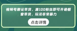 视频号搬运带货,满100粉丝即可开通橱窗带货,玩法非常暴力【揭秘】-无痕资源库